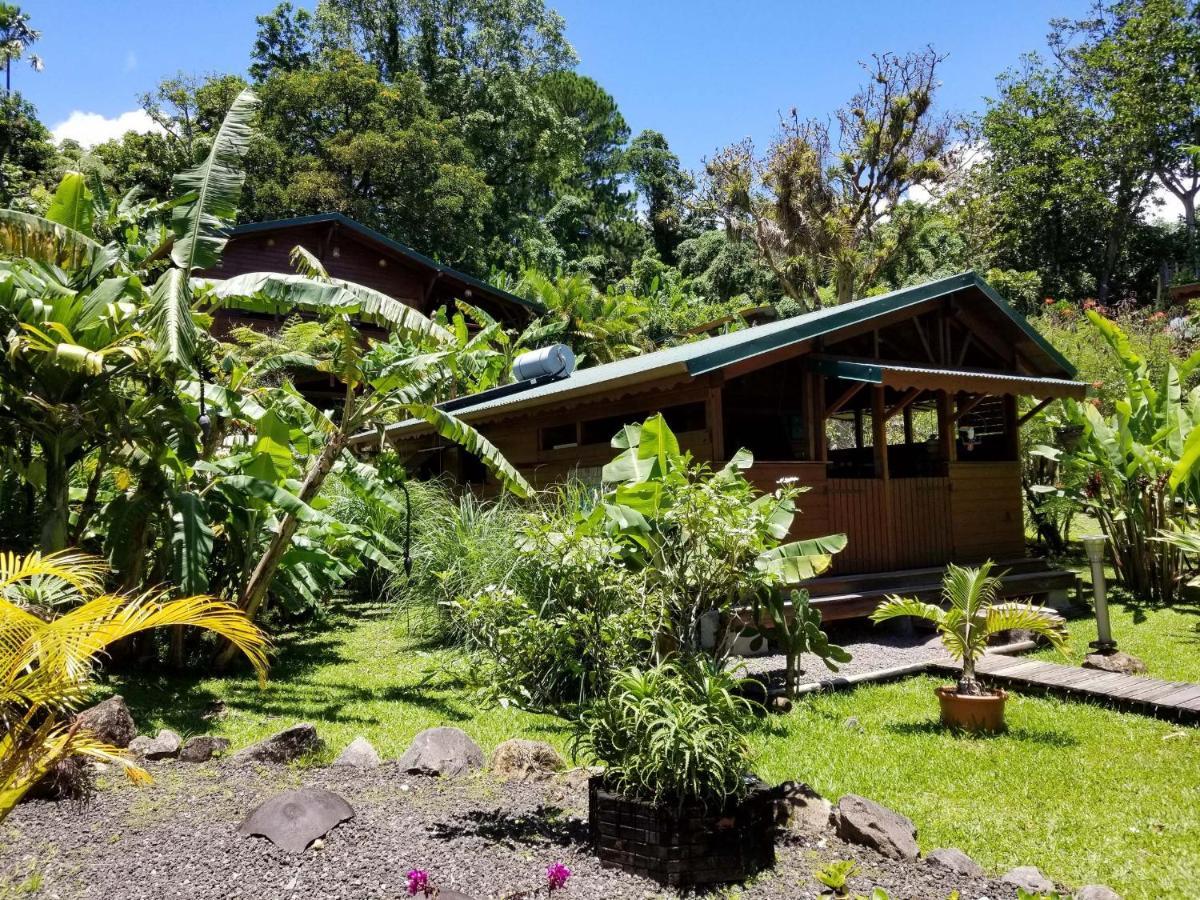 Les Bananes Vertes Ecolodges Saint-Claude Exterior photo
