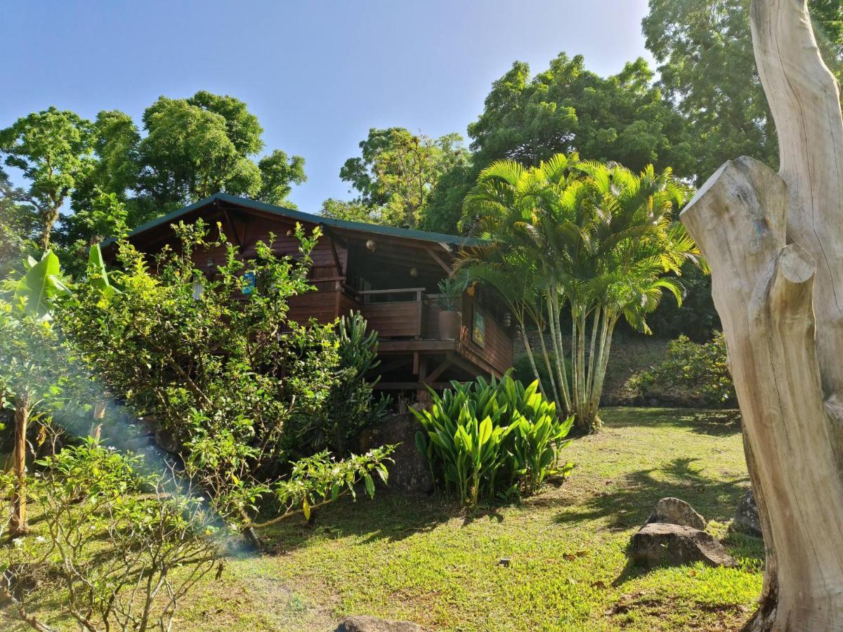 Les Bananes Vertes Ecolodges Saint-Claude Exterior photo