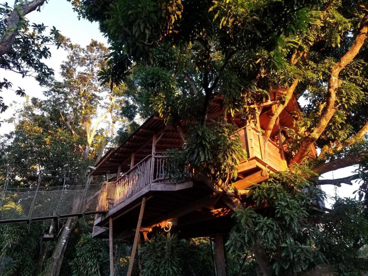 Les Bananes Vertes Ecolodges Saint-Claude Exterior photo