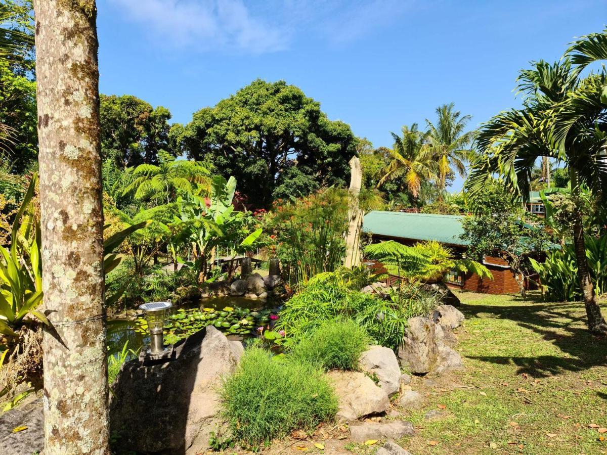 Les Bananes Vertes Ecolodges Saint-Claude Exterior photo