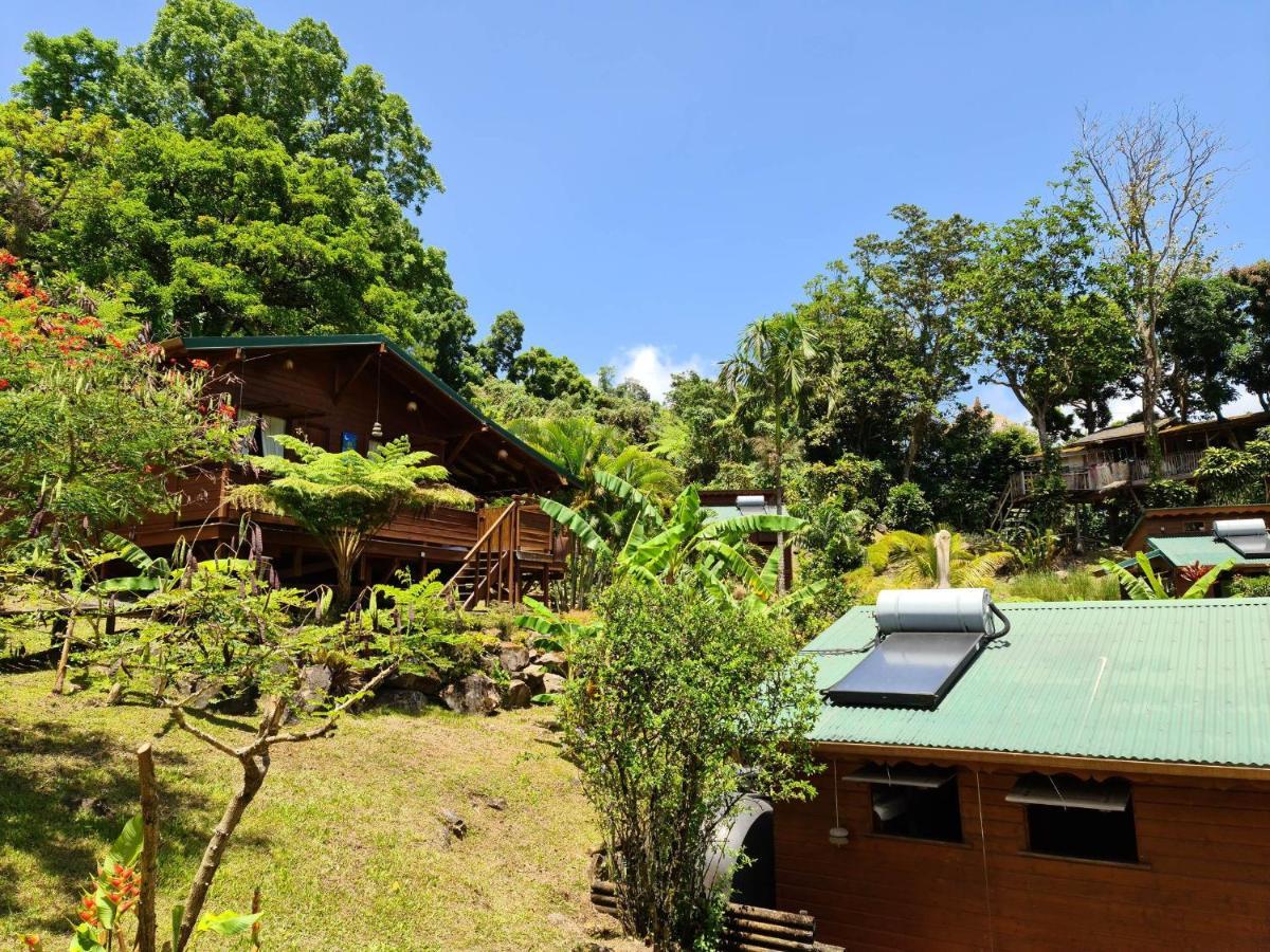 Les Bananes Vertes Ecolodges Saint-Claude Exterior photo