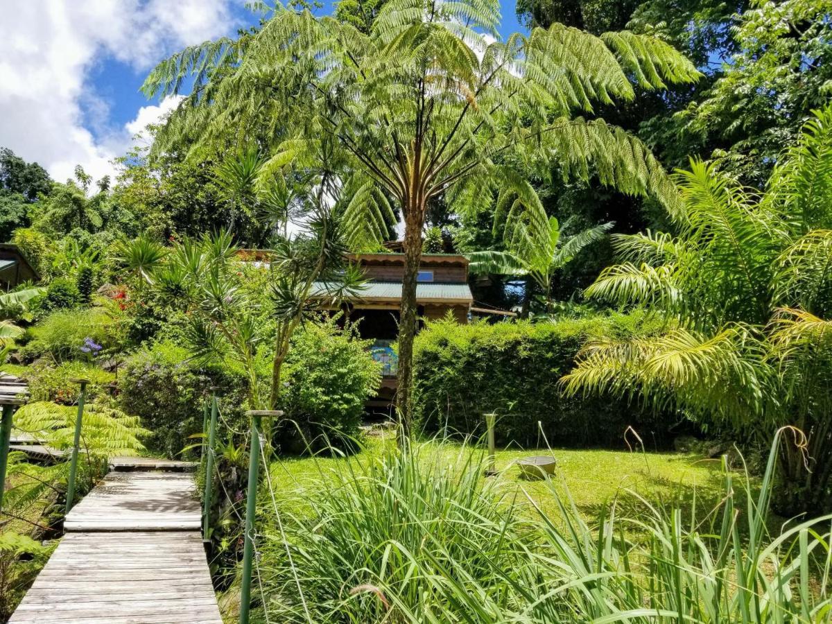 Les Bananes Vertes Ecolodges Saint-Claude Exterior photo